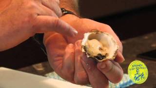 How to shuck an Oyster [upl. by Sanbo114]