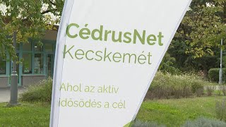 5 éves lett a CédrusNet Kecskemét Program [upl. by Enimrej]