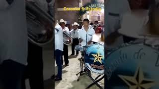 Banda Coronita ft Banda Estrella musicahuasteca [upl. by Eirotal]