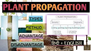 Methods of plant propagation or vegetative reproduction most important topic notes हिन्दीenglish [upl. by Mona]