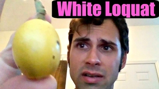 White Loquat Review  Weird Fruit Explorer Ep 181 [upl. by Archangel]