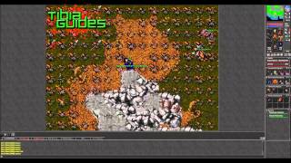 Tibia  Oramond Minotaurs MS Hunting Tutorial [upl. by Evslin]