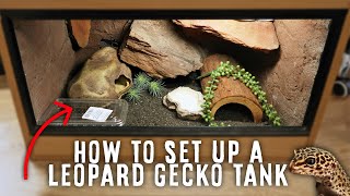 A Beginners Guide To Setting Up A Leopard Gecko Tank [upl. by Nazler]