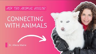 The Profound Connection Between Humans and Animals [upl. by Nylazor]