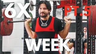 V86 Squatting 6 times per week for 6 weeks  Part 5 [upl. by Yentruoc279]