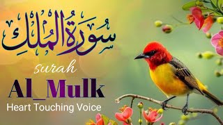 Surah Mulk سورت الملکSurah Mulk Fast Recitation Beautiful VoiceQuran ki tilawat [upl. by Gardiner328]