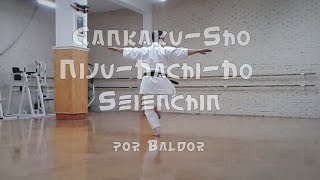 Katas GANKAKUSHO NIJUHACHIHO SEIENCHIN por Baldor ハビエル  2016 [upl. by Glass]