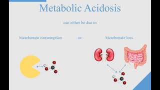 The physiopathology of pH variation in Metabolic Acidosis EN [upl. by Bilicki]