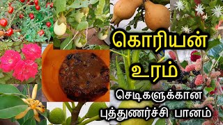 பூக்காத செடிகள் பூக்க காய்க்காத செடிகள் காய்க்க Best homemade fertilizer in Tamil [upl. by Ardnuhsed776]