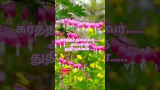 தமிழ் கிறிஸ்தவ பாடல்கள் tamilchristiansongs WhatsApp statusbible verse [upl. by Whittemore]