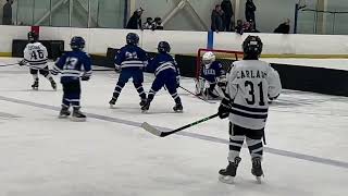 D Yale jr bulldogs hockey 10 19 24 [upl. by Bailey]