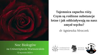 Tajemnica zapachu róży Czym są roślinne substancje lotne i jak oddziaływują na nasz zmysł węchu [upl. by Nosyk618]