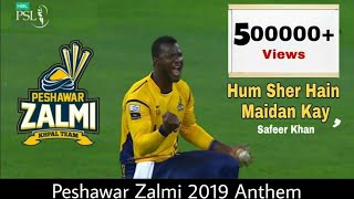 Peshawar Zalmi Official Anthem 2019  Hum Sher Hain Maidaan Kay  Safeer Khan  PSL4 [upl. by Abbie]