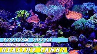 The BEST saltwater aquarium maintenance routine [upl. by Isobel331]