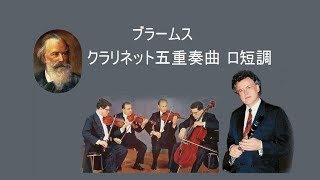 ★ブラームス クラリネット五重奏曲 ロ短調 作品115 ライスター アマデウスsq Brahms  Clarinet Quintet [upl. by Rdnaskela928]