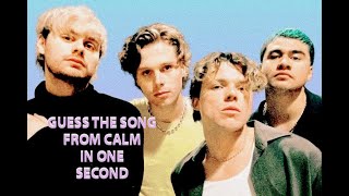 GUESS THE 5SOS SONG IN ONE SECOND  CALM VERSION [upl. by Alfy]