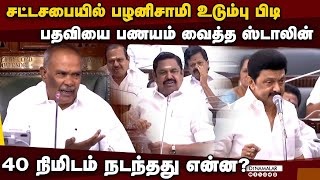 ஸ்டாலினா பழனிசாமியா வென்றது யார்  Stalin vs Palanisamy  Duraimurugan vs EPS  madurai tungsten [upl. by Melan]