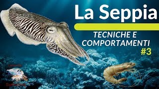 LA SEPPIA TECNICHE di PESCAABITUDINI e HABITAT 3 [upl. by Brabazon379]