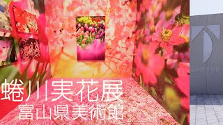 【蜷川実花展】富山県美術館開館５周年記念！初の映像作品も展示 MIKA NINAGAWA [upl. by Quartas]