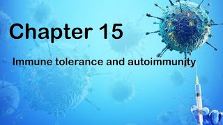 Chapter 15 Immune tolerance and autoimmunity [upl. by Leake502]