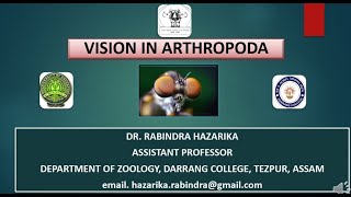 Vision in Arthropoda [upl. by Raffo]