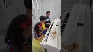 Ebruli Piyano Cover [upl. by Eeltrebor6]