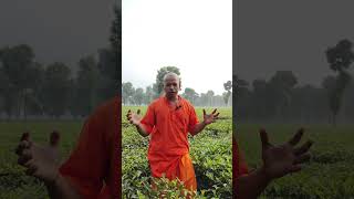 motivation yoggururaviraj ravirajyog yoga [upl. by Elok714]