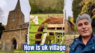 How is Uk Village  યુકે ના ગામ ખેતર પશુ આવા હોય  Ram Bhai London Vala  🙏🇮🇳🇬🇧 [upl. by Enamrej]