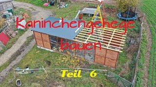 Kaninchengehege bauen 6 Und weiter gehts [upl. by Llerrac]