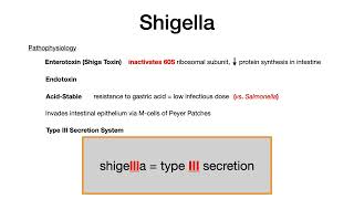 Shigella [upl. by Llenod]