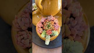 DIY Succulent Centerpiece Easy amp Inexpensive🪴succulents suculentasdiy [upl. by Cappello96]