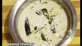 Andhra Hotel style palli chutneypeanut chutney with onionpalli chutney recipe [upl. by Onra348]