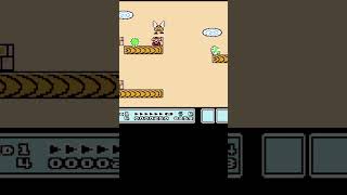 Super Mario Bros 3 Randomizer [upl. by Ledif]