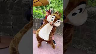 The craziest Chip n Dale meet at Disneyland Paris [upl. by Notniuq]