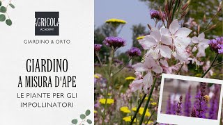 Giardino a misura dape 🐝 [upl. by Daveta]