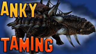 Ark How To Tame A Ankylosaurus  Ark Survival Evolved [upl. by Cory]