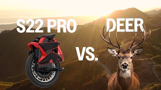 I Raced a Deer on the King Song S22 Pro and WON [upl. by Ennaeel]