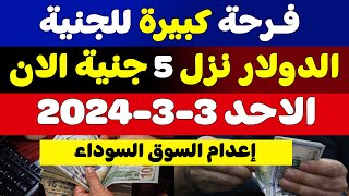 اسعار الدولار في السوق السوداءسعر الدولار في السوق السوداء اليوم الاحد 202433 في مصر [upl. by Atlas308]