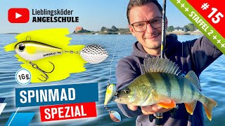 Gezielt auf große BARSCHE – 16g SpinMad Jigmaster 🔥🎣🦦 [upl. by Ellebyam101]