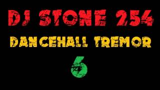 DJ STONE 254  DANCEHALL TREMOR 6 [upl. by Quintus]