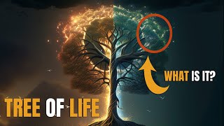 Details About The Tree Of Life Many Dont Know [upl. by Klug79]