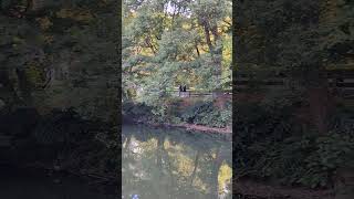 Exploring Shinjuku Gyoen National Gardens [upl. by Abana]