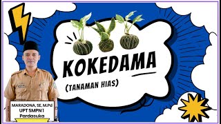 KOKEDAMA SpensaPardasukaOfficial bangkokedama [upl. by Manvell]