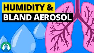 Humidity and Bland Aerosol Therapy  Simple Explanation [upl. by Aicrop621]