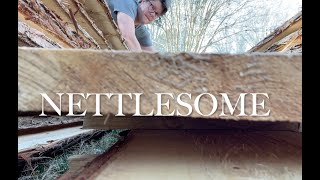 Nettlesome Episode 7 Why [upl. by Ambrosi]