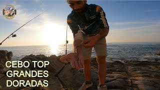 PESCA DE GRAN DORADA Y PALOMETON🔴PESCA EXTREMA COSTA BLANCA [upl. by Soutor]