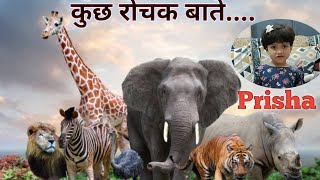 चतुरा हाथी  Chatur hathi  Panchtantra ki Kahaniya Hindi Kahaniyan  stories in Hindi [upl. by Burrow]