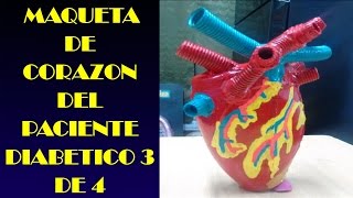 MAQUETA DE CORAZON DEL PACIENTE DIABETICO 3 DE 4 [upl. by Gavan]