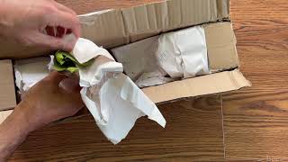 Nepenthes Unboxing From LynnsPlants [upl. by Delano38]