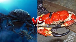 Pterygotus vs Tasmanian Giant Crab [upl. by Tessa]